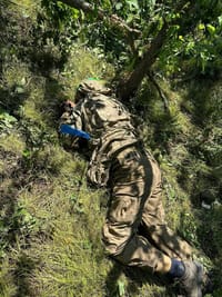 Миниатюра 4