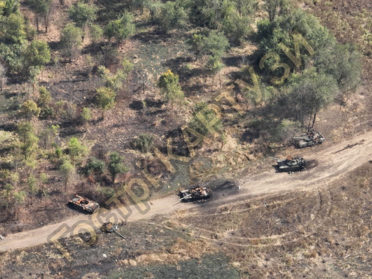 Изображение из галереи