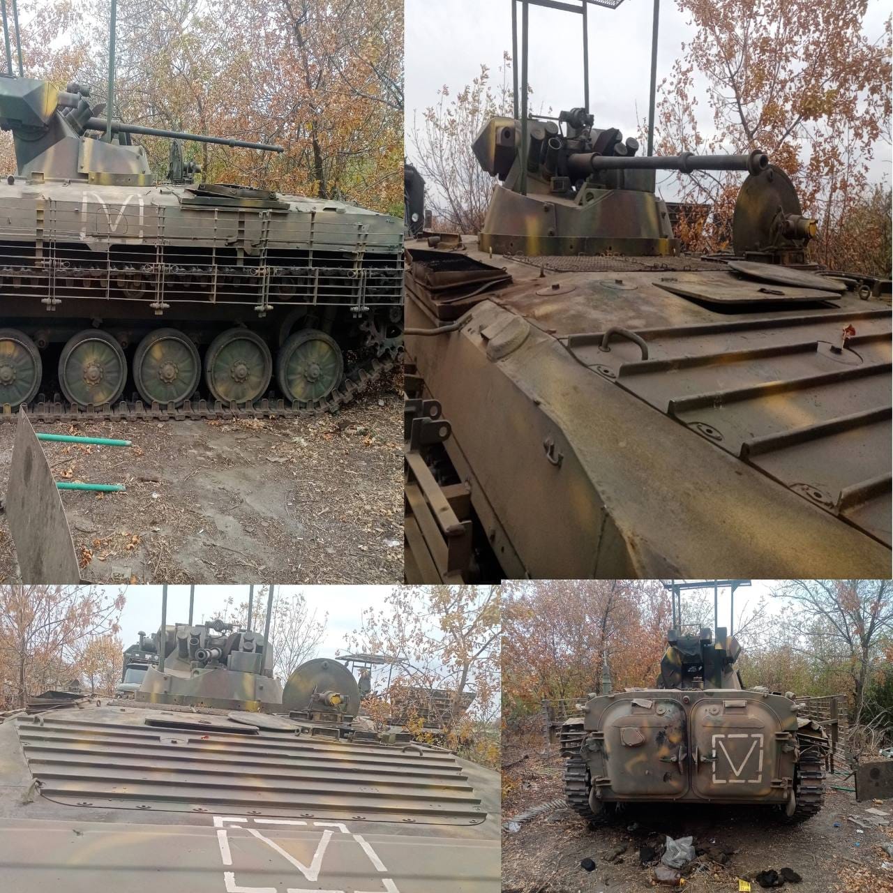 Изображение из галереи