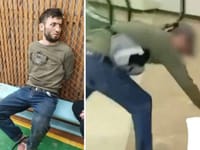 Миниатюра 3