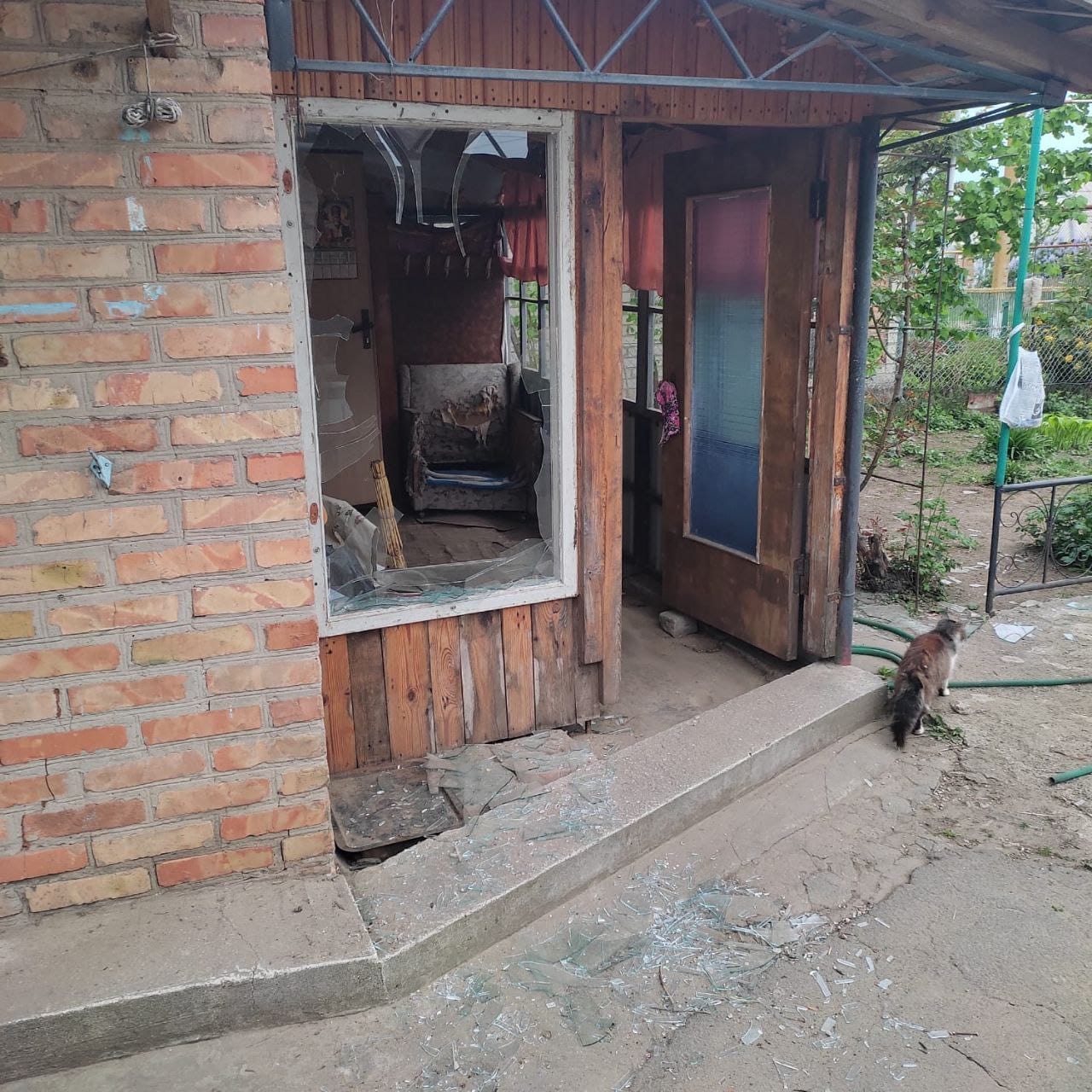 Изображение из галереи