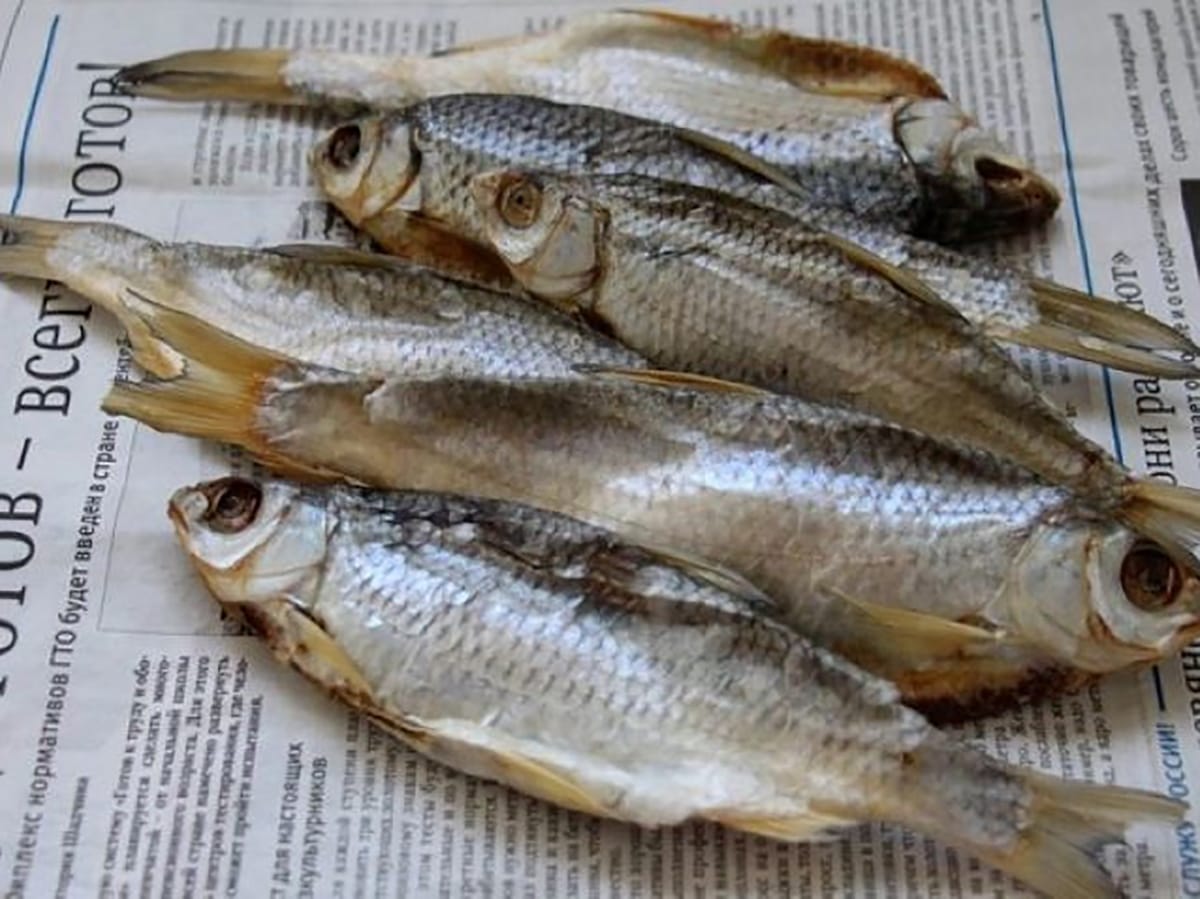 Лозунг «Нет в***е» признан незаконным