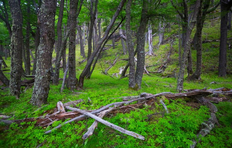 В Подмосковье упал беспилотник со взрывчаткой