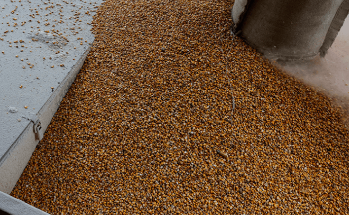 Эрдоган заявил о продлении зерновой сделки на два месяца