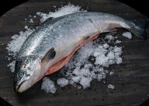 В России деятельность американской организации, охраняющей дикого лосося, признали «нежелательной» 