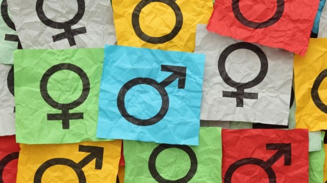 ВШЭ убрала слово «гендер» из названия учебного курса по гендерным исследованиям