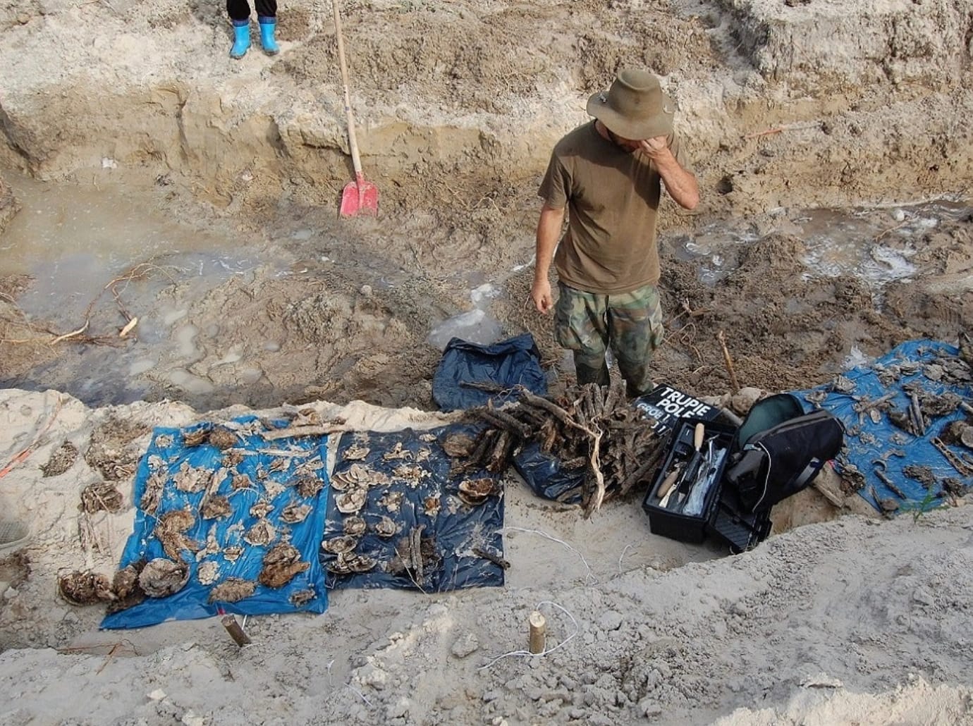 В Тернопольской области Украины нашли братскую могилу жертв Волынской резни
