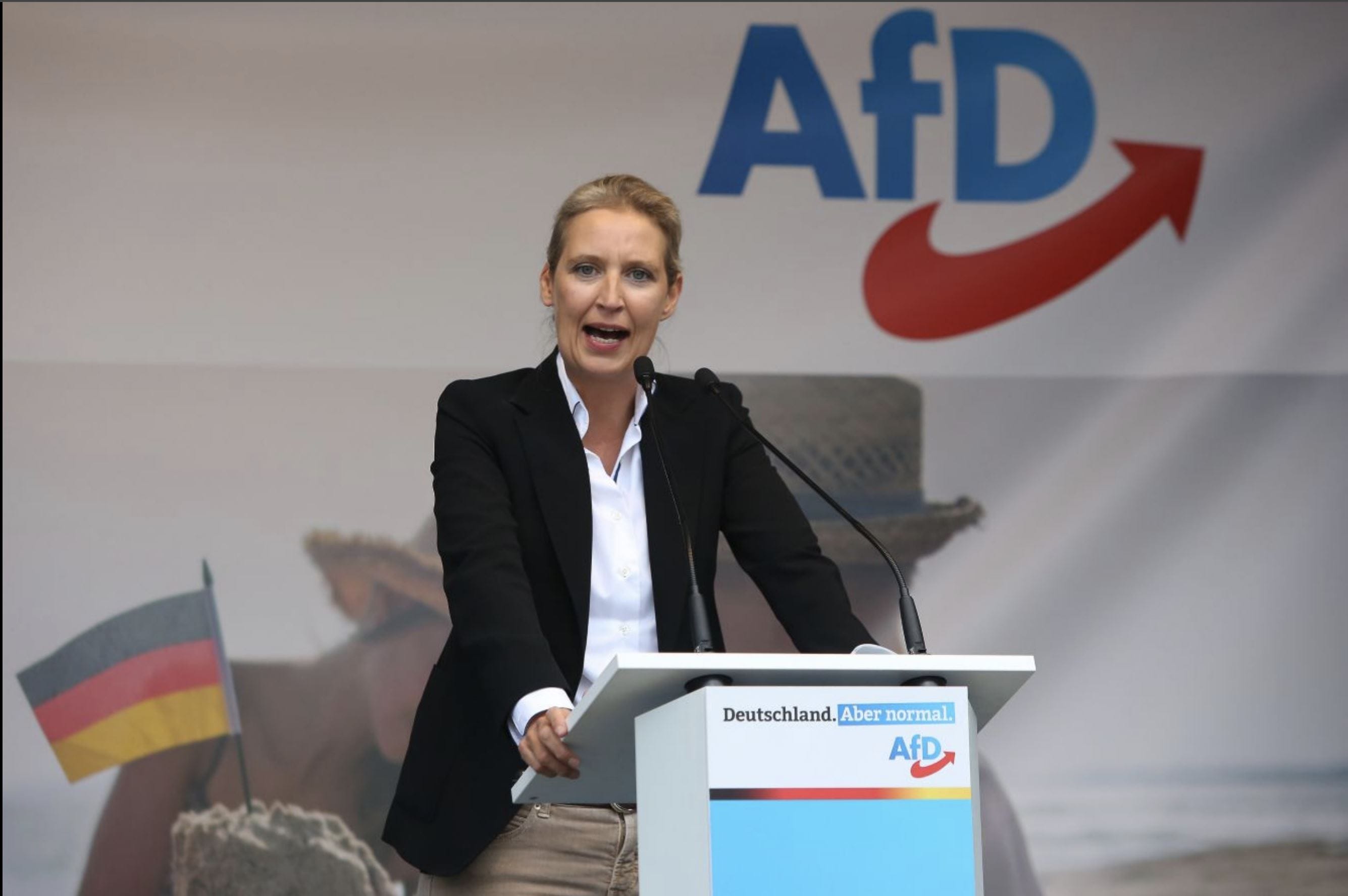 Кандидатом в канцлеры от АдГ стала Алис Вайдель. Она живет в однополом партнерстве с женщиной, но выступает против однополых браков