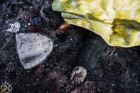 Миниатюра 6