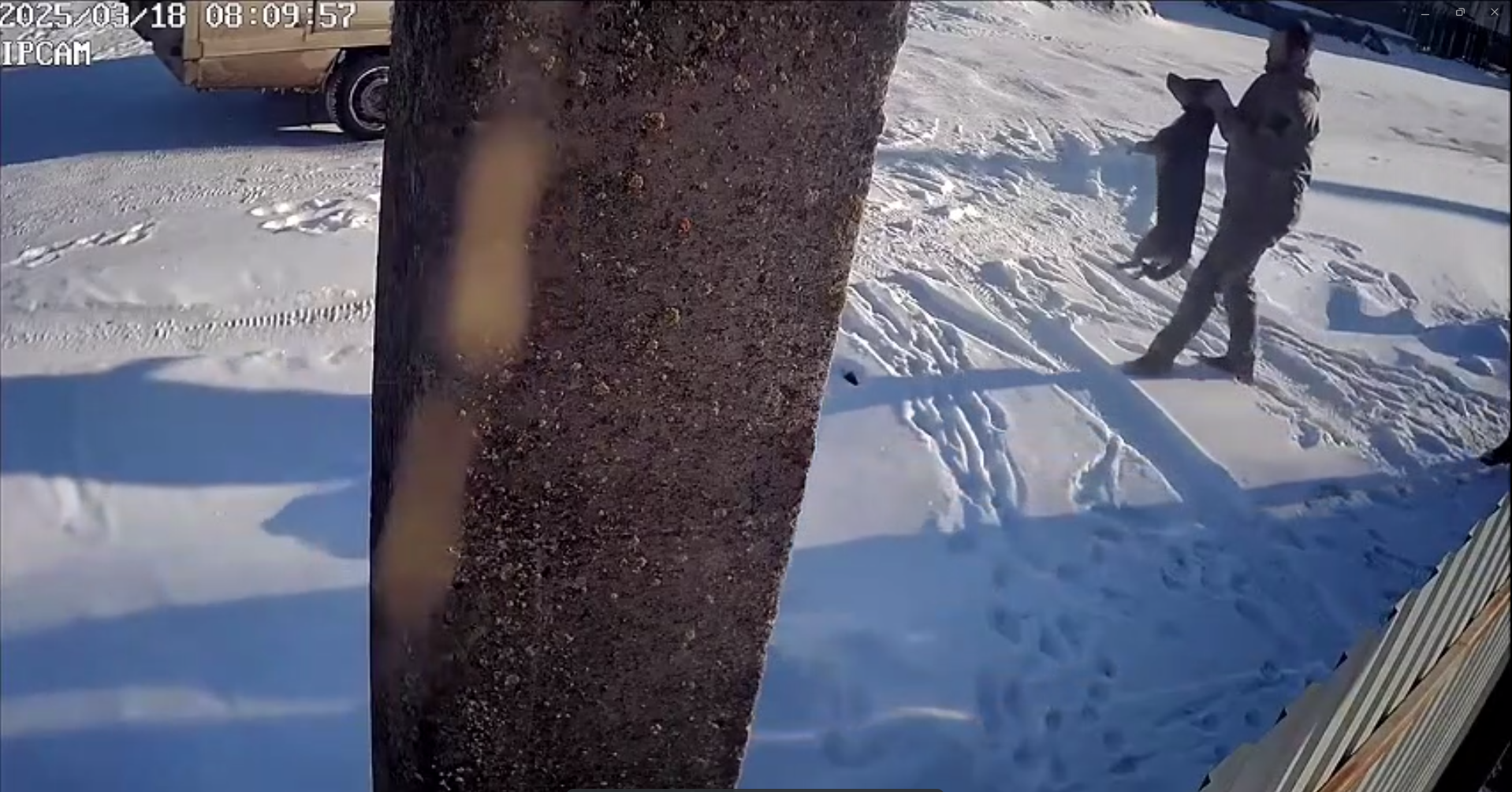 Похищение Дружка. Скрин с видео