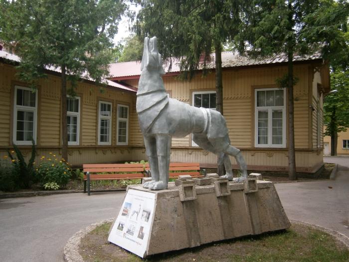 Железный волк. Вильнюс