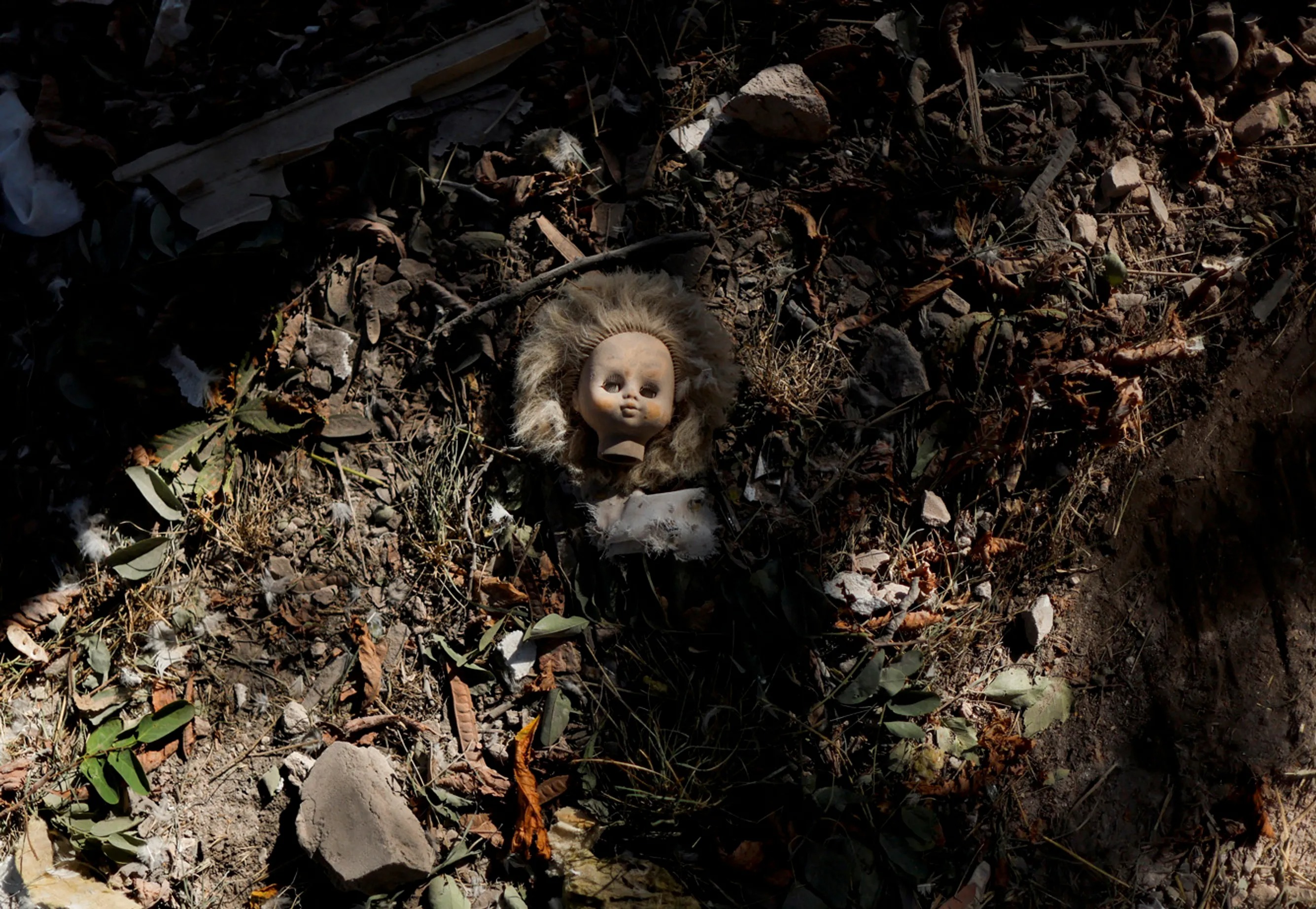 Иллюстрация к материалу