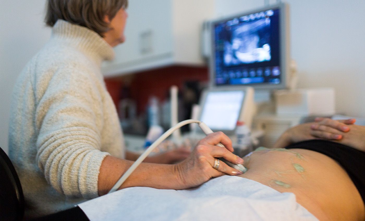 Фото: Ton Koene / VWPics / AP